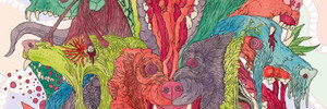 Featured_animosity___drum_4864111d583da