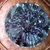 Available_image_wealthy_eggplant_02